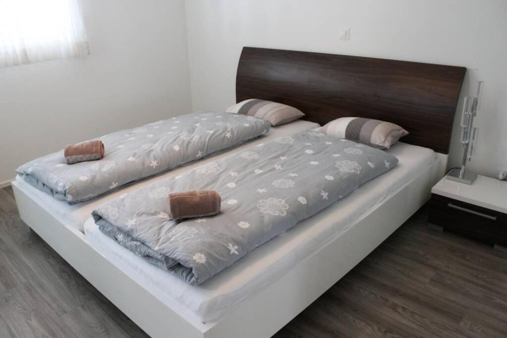 Modern Apartment 모던 펜션 إنترلاكن المظهر الخارجي الصورة