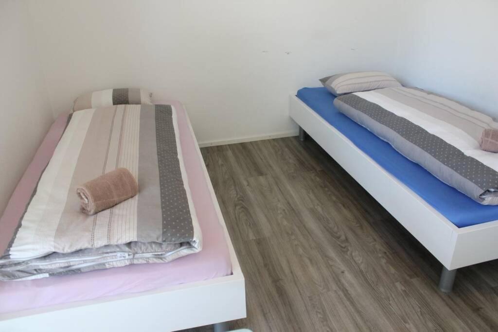 Modern Apartment 모던 펜션 إنترلاكن المظهر الخارجي الصورة