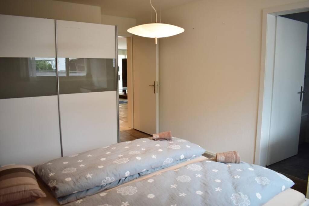 Modern Apartment 모던 펜션 إنترلاكن المظهر الخارجي الصورة