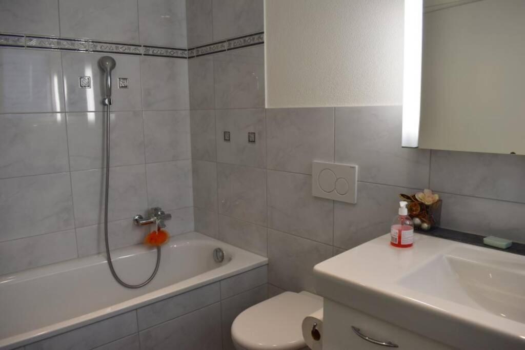 Modern Apartment 모던 펜션 إنترلاكن المظهر الخارجي الصورة