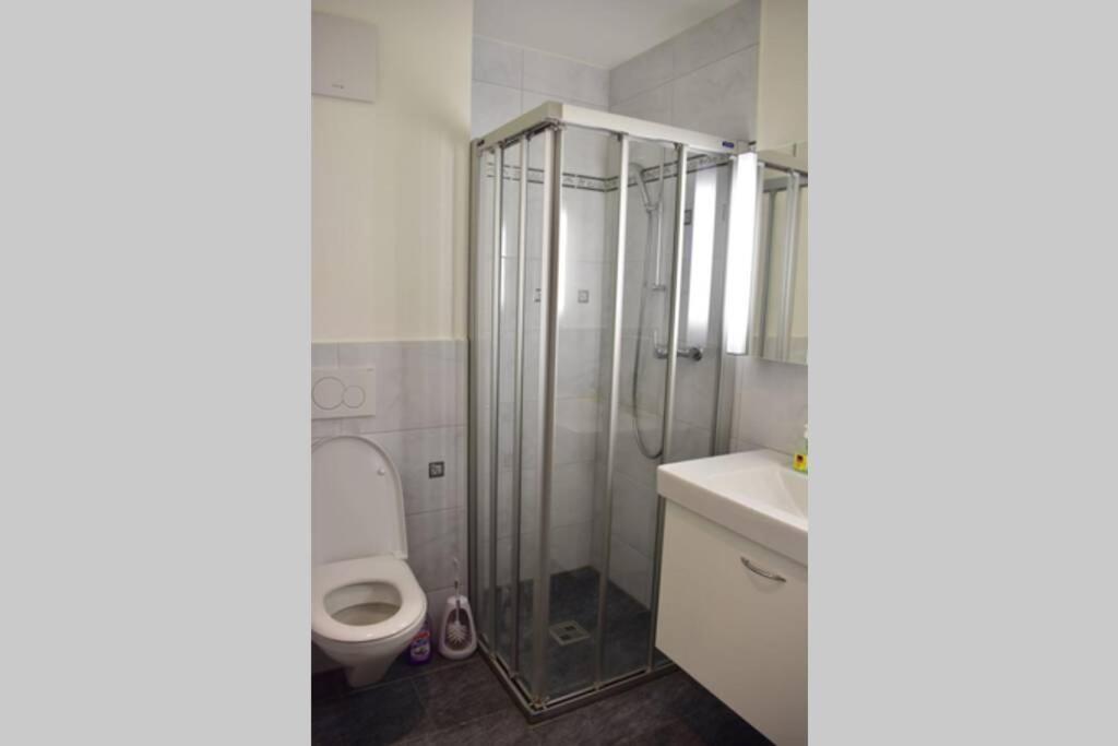 Modern Apartment 모던 펜션 إنترلاكن المظهر الخارجي الصورة